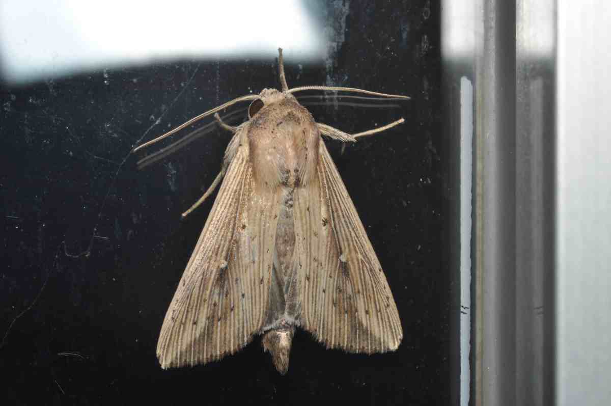 詳細検索：環境省