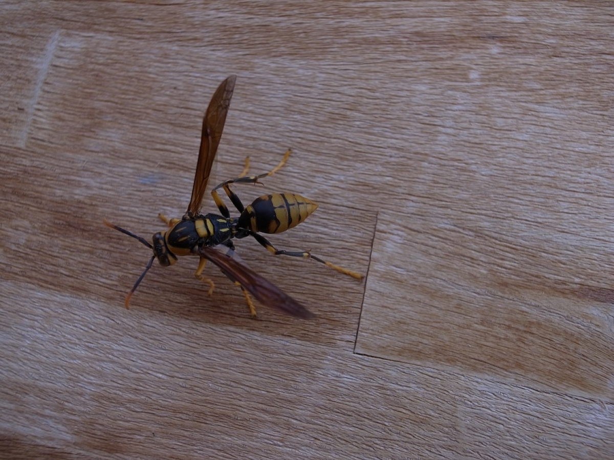 詳細検索 環境省