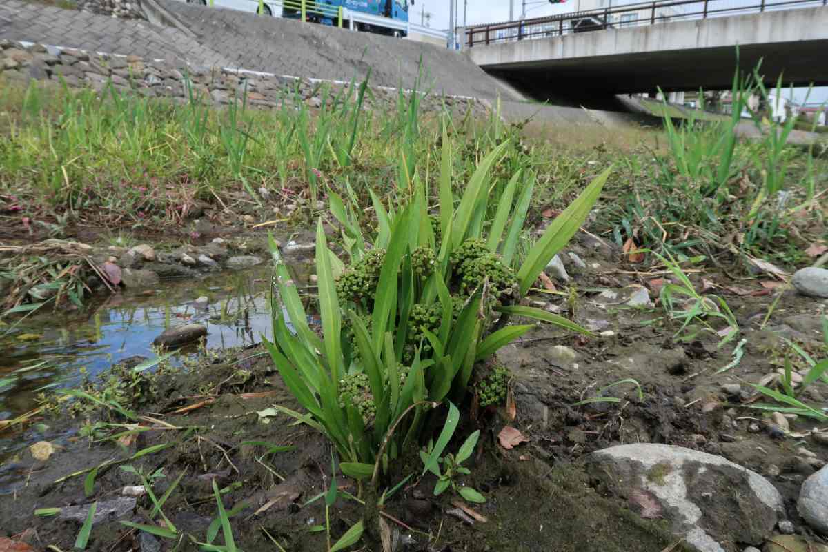 詳細検索：環境省