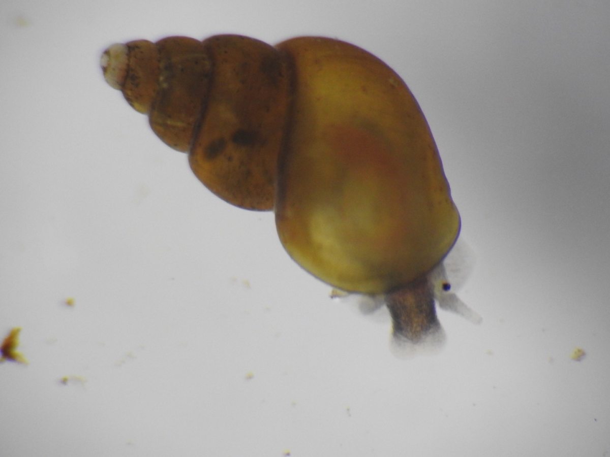 詳細検索 環境省