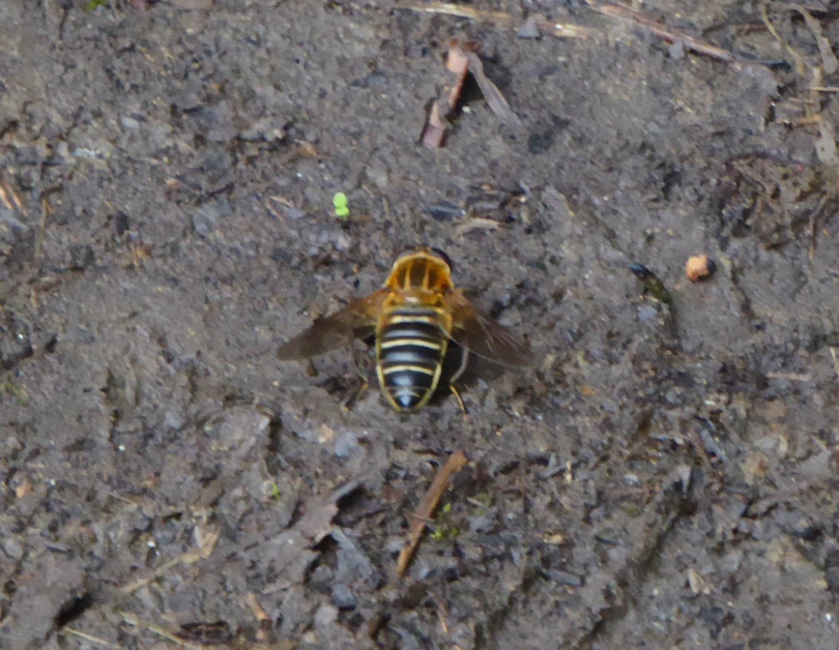 詳細検索 環境省