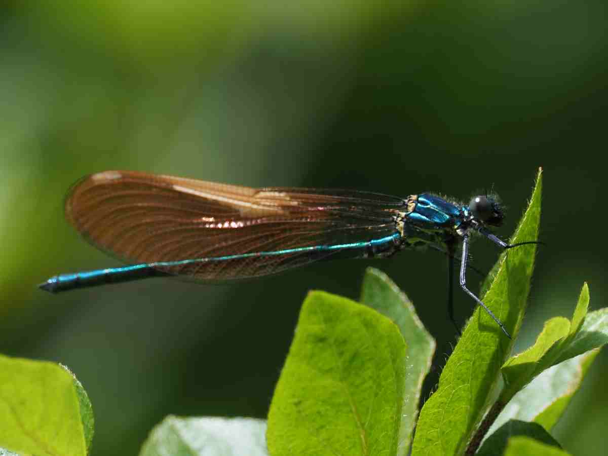 詳細検索：環境省