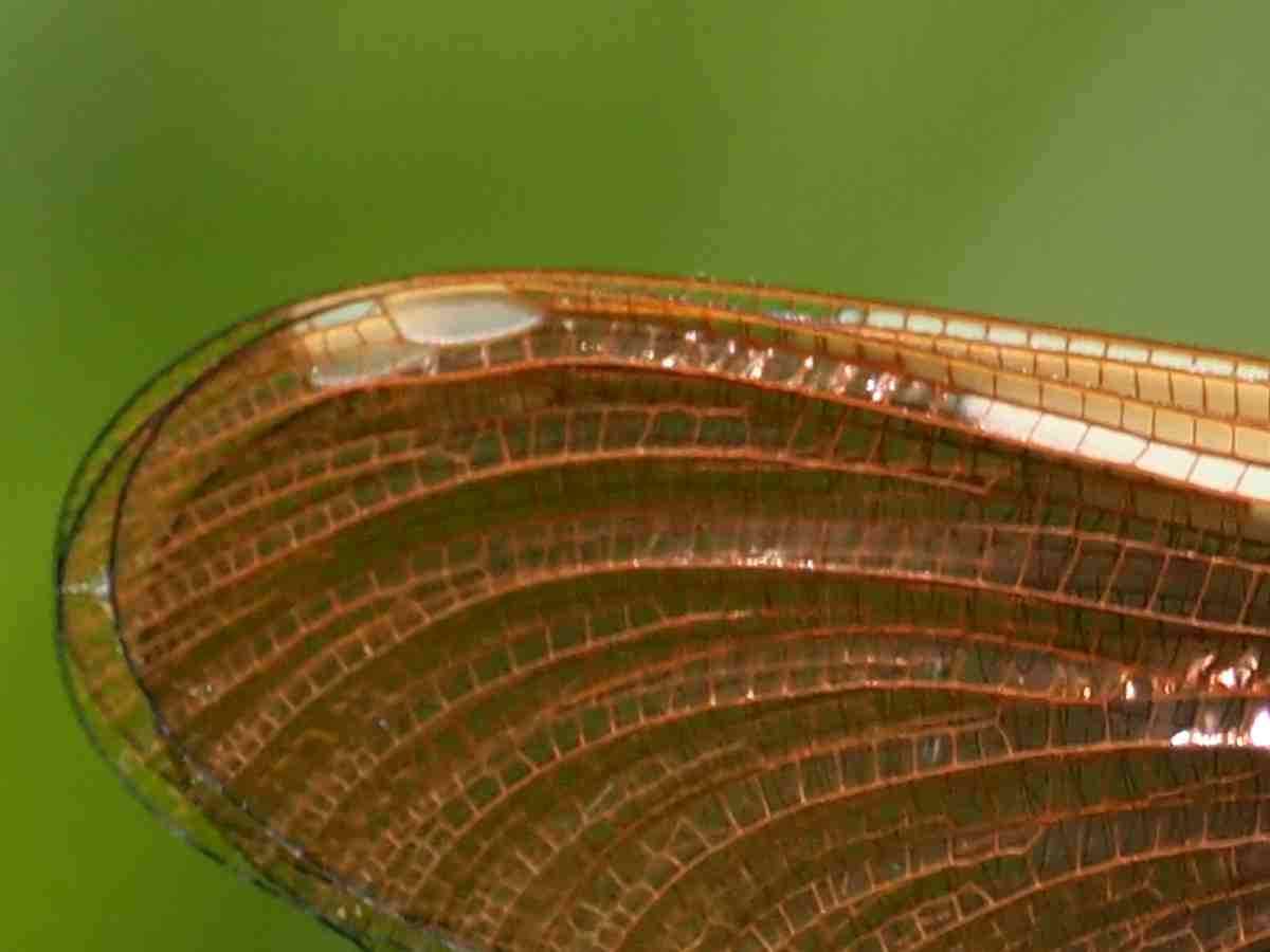 詳細検索：環境省