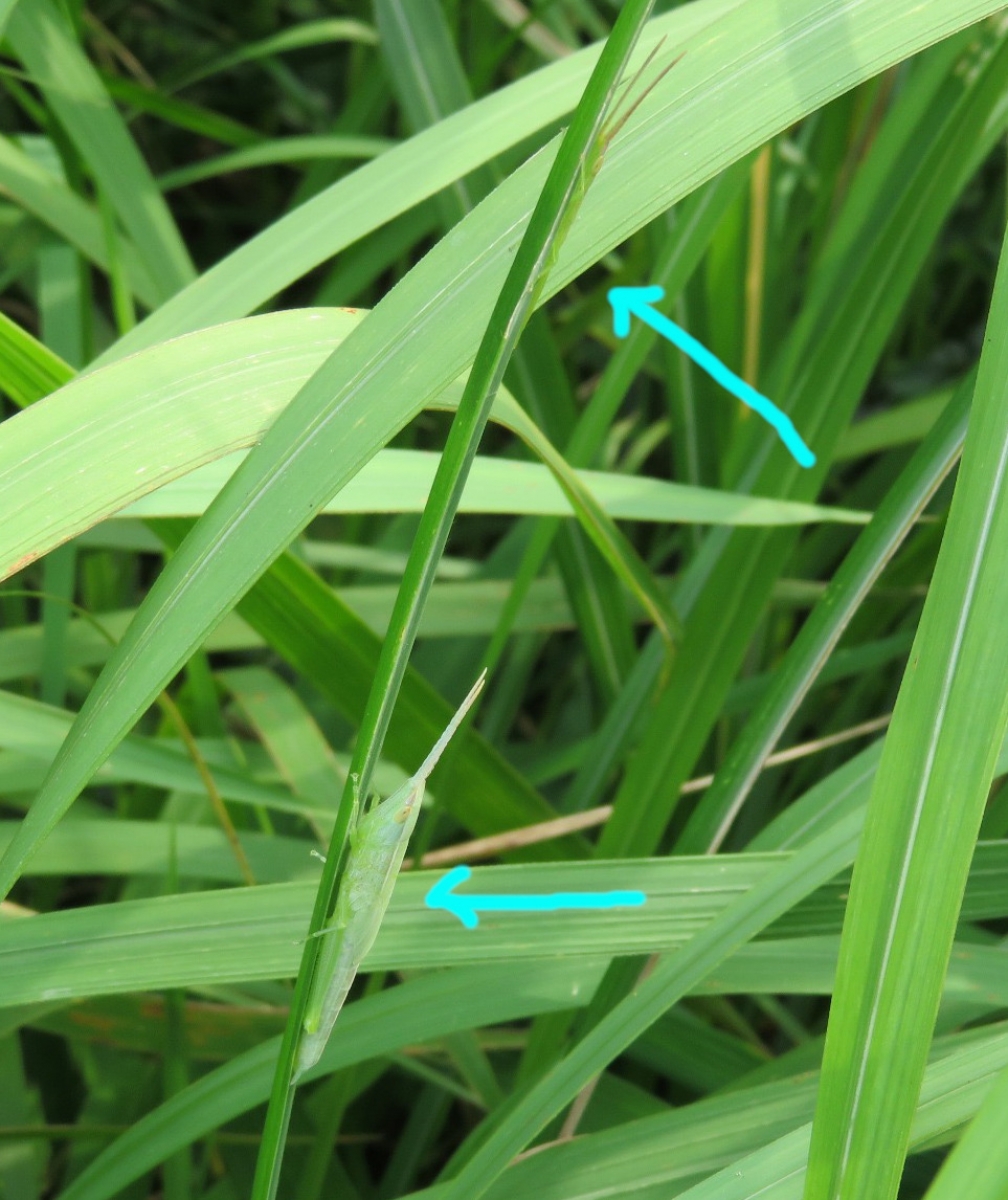 詳細検索：環境省