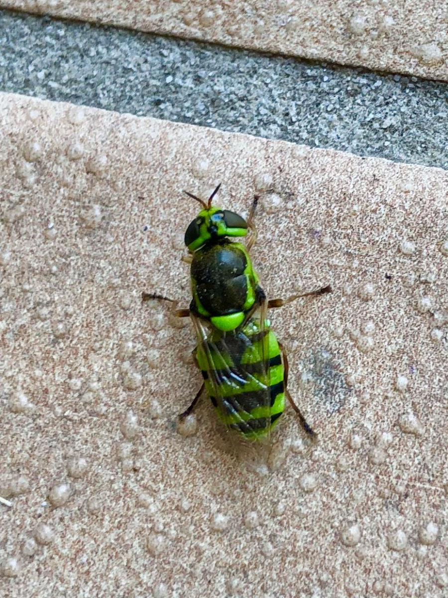 詳細検索：環境省