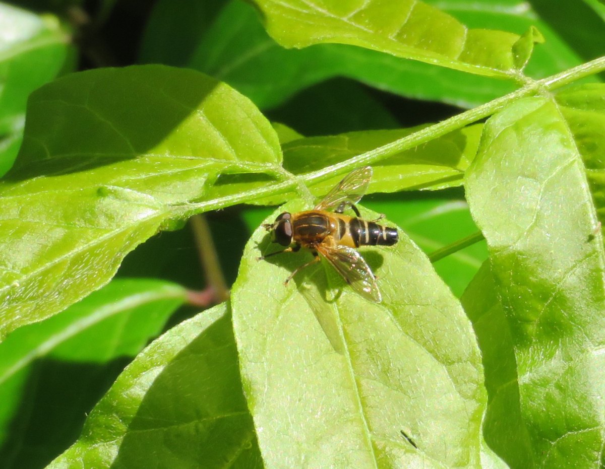 詳細検索 環境省