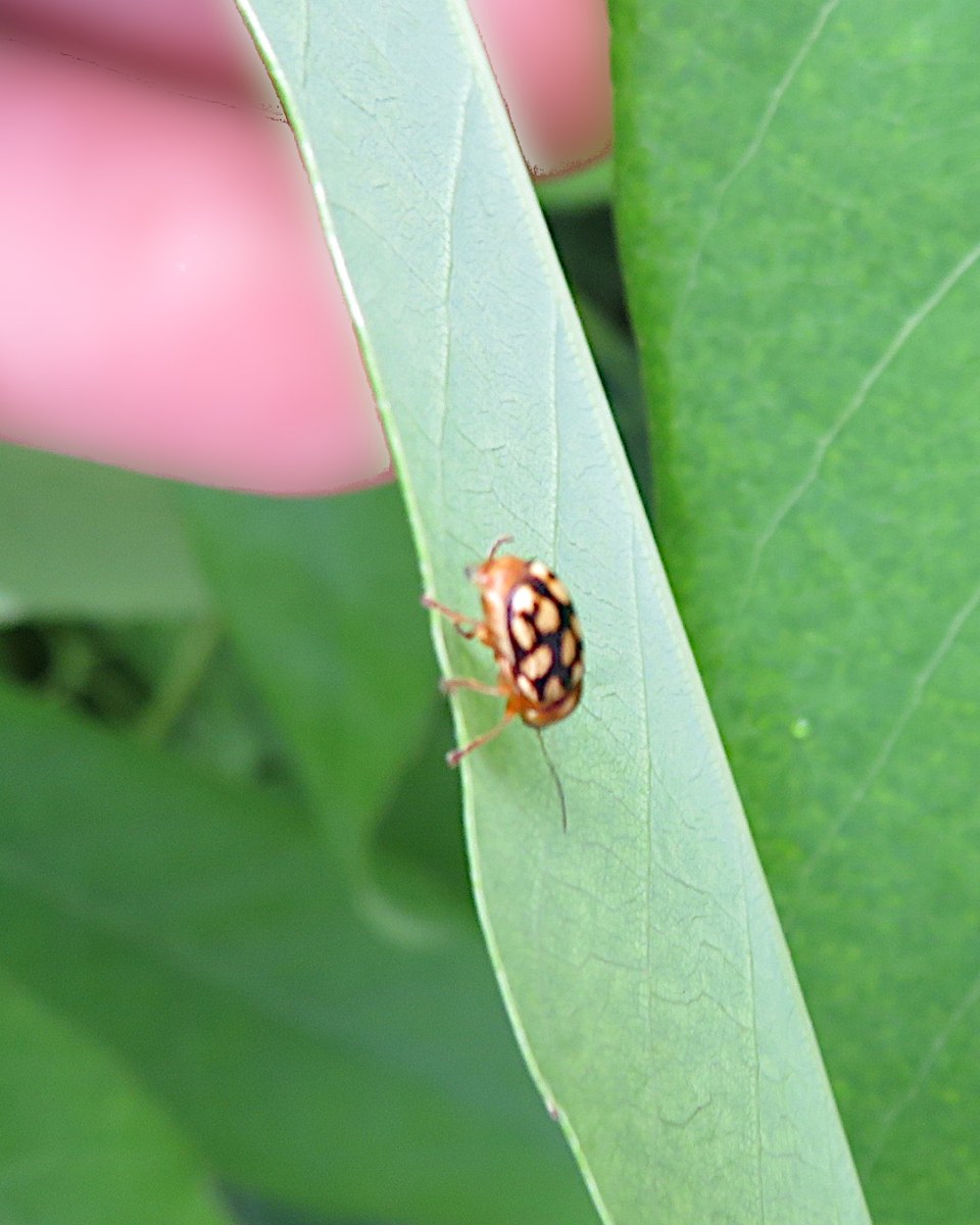 詳細検索：環境省