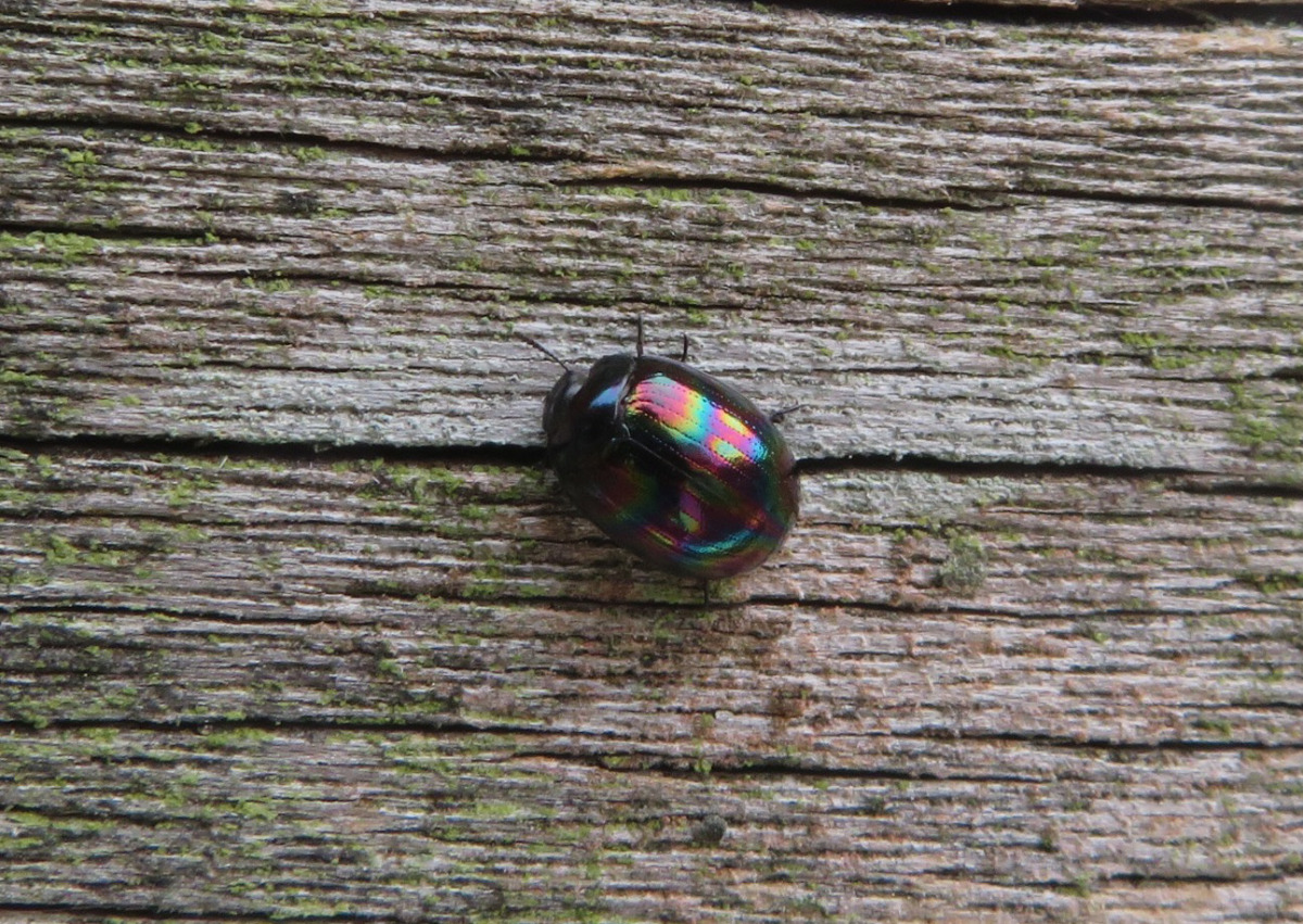 詳細検索：環境省