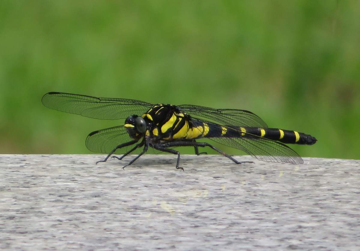 詳細検索：環境省