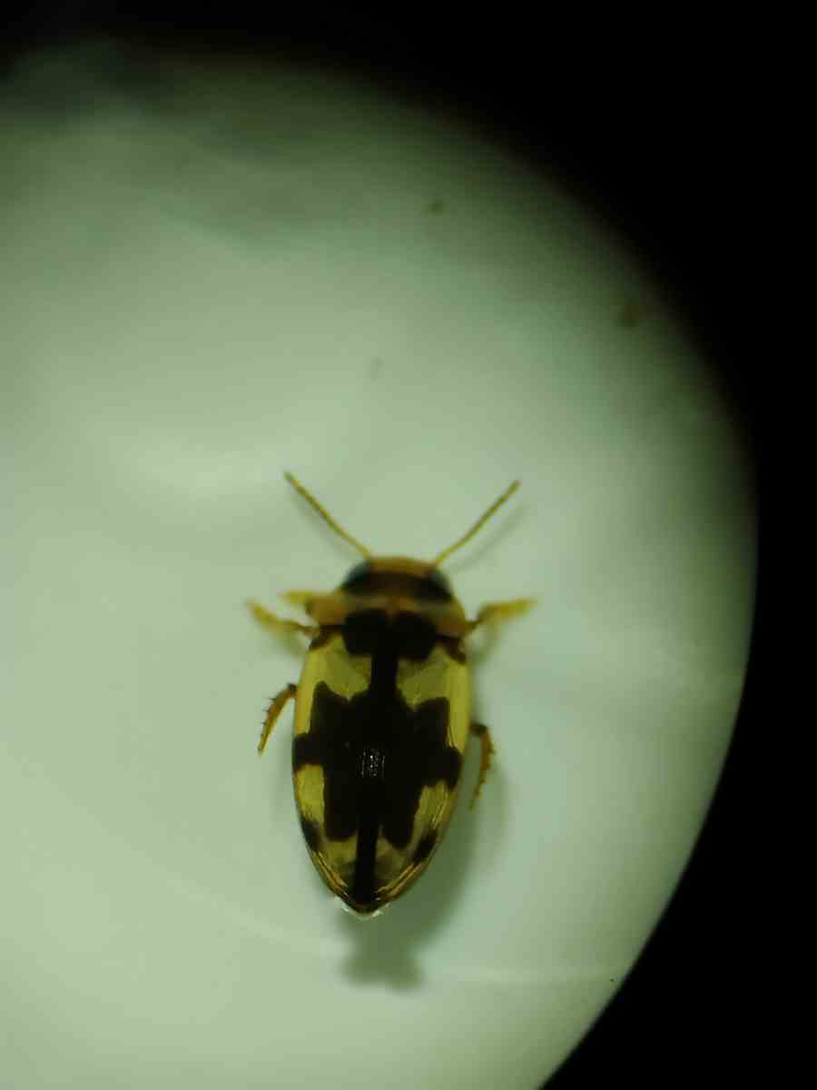 詳細検索：環境省