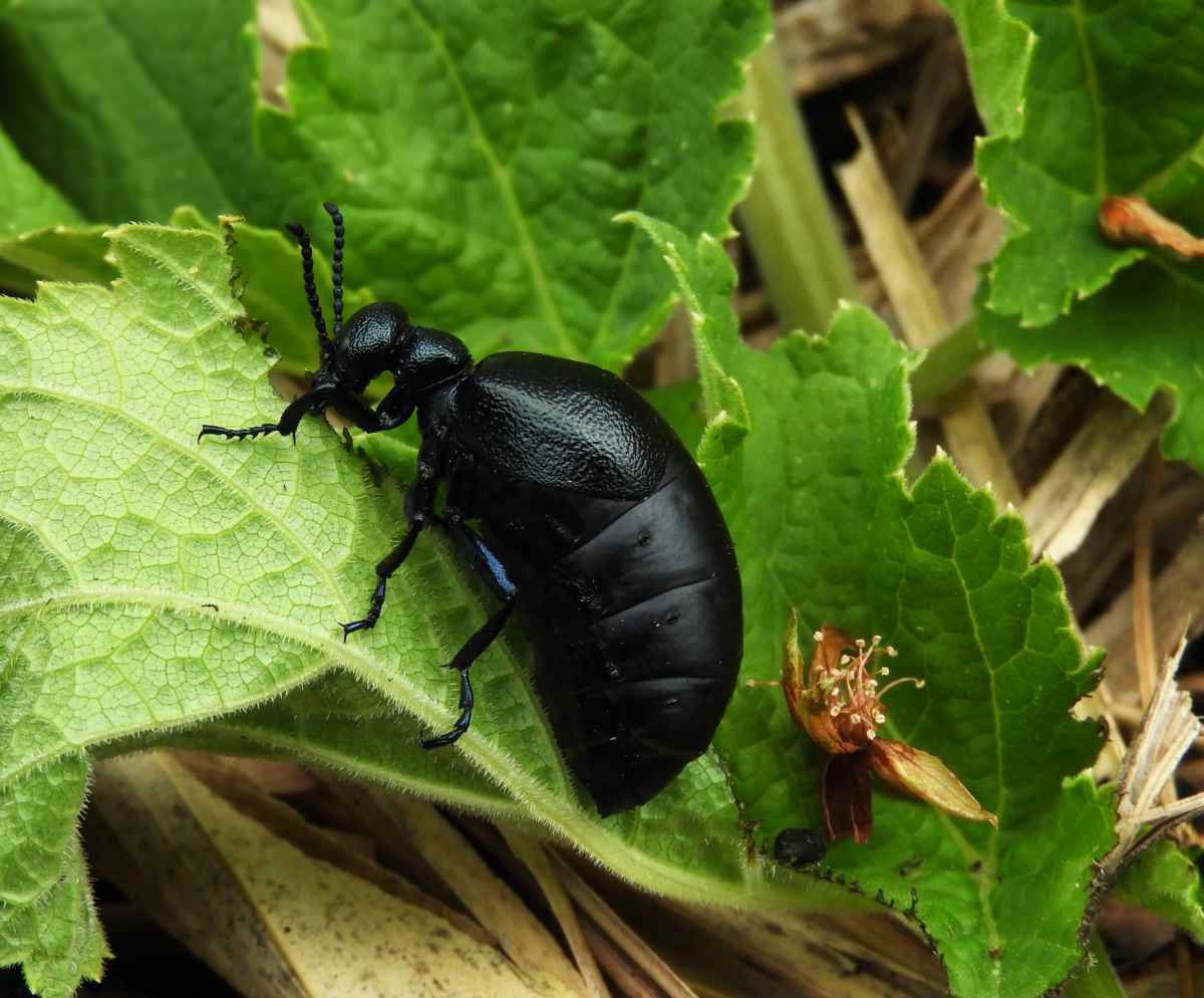 詳細検索：環境省