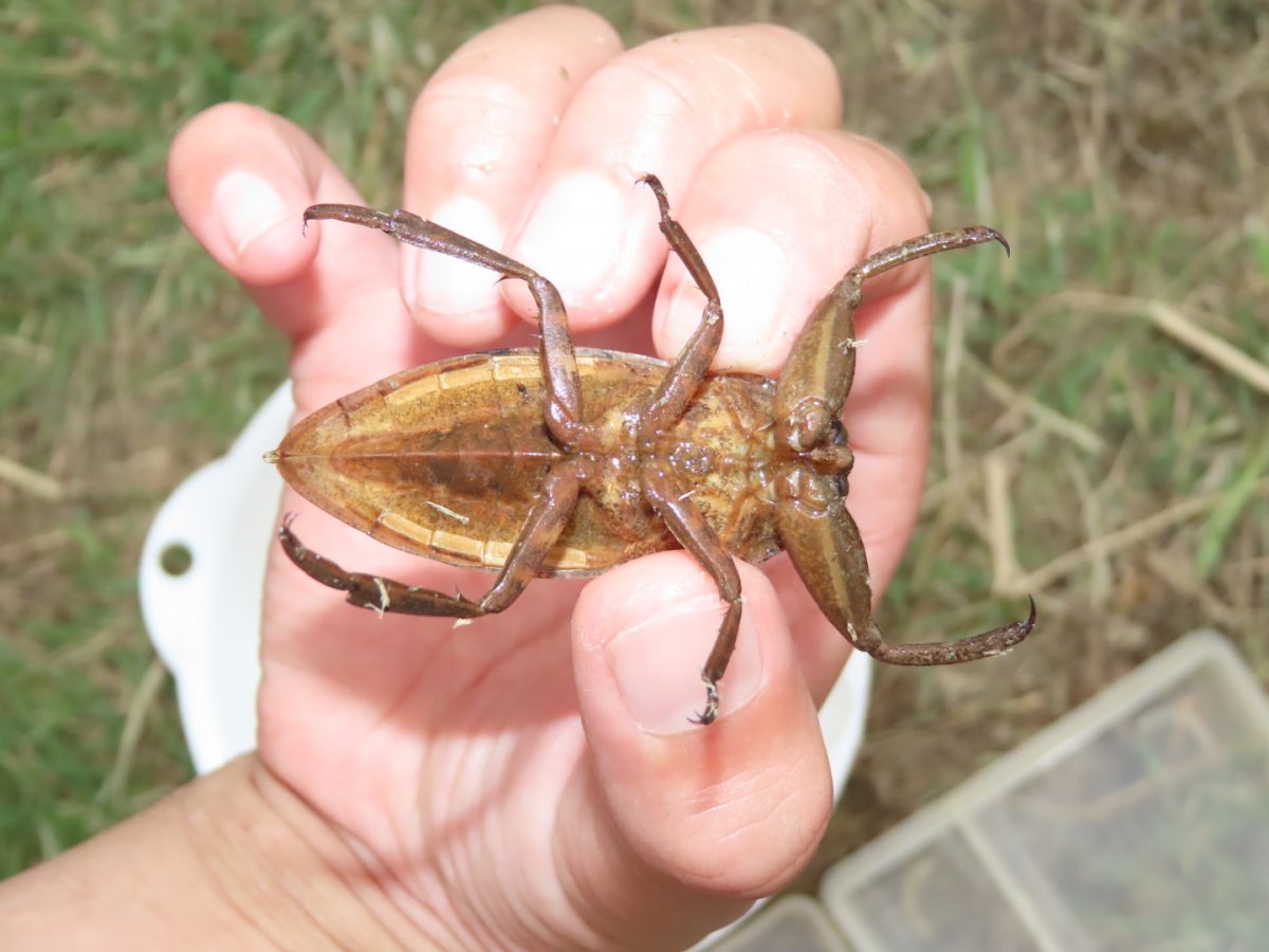 詳細検索：環境省