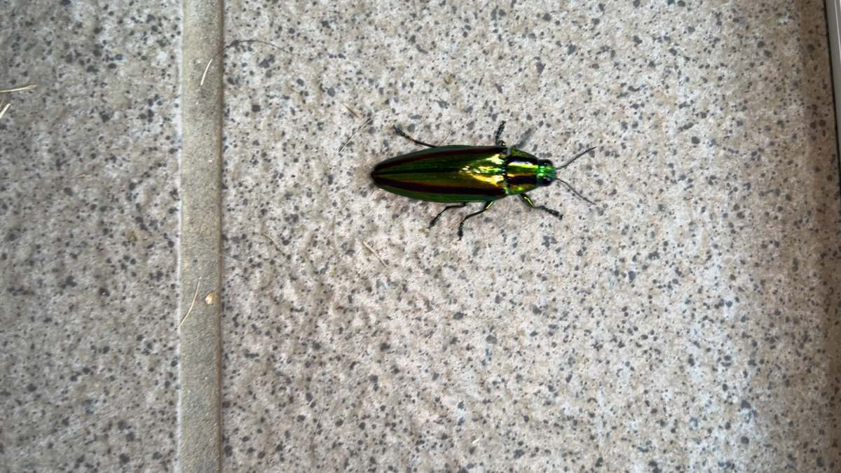 詳細検索：環境省