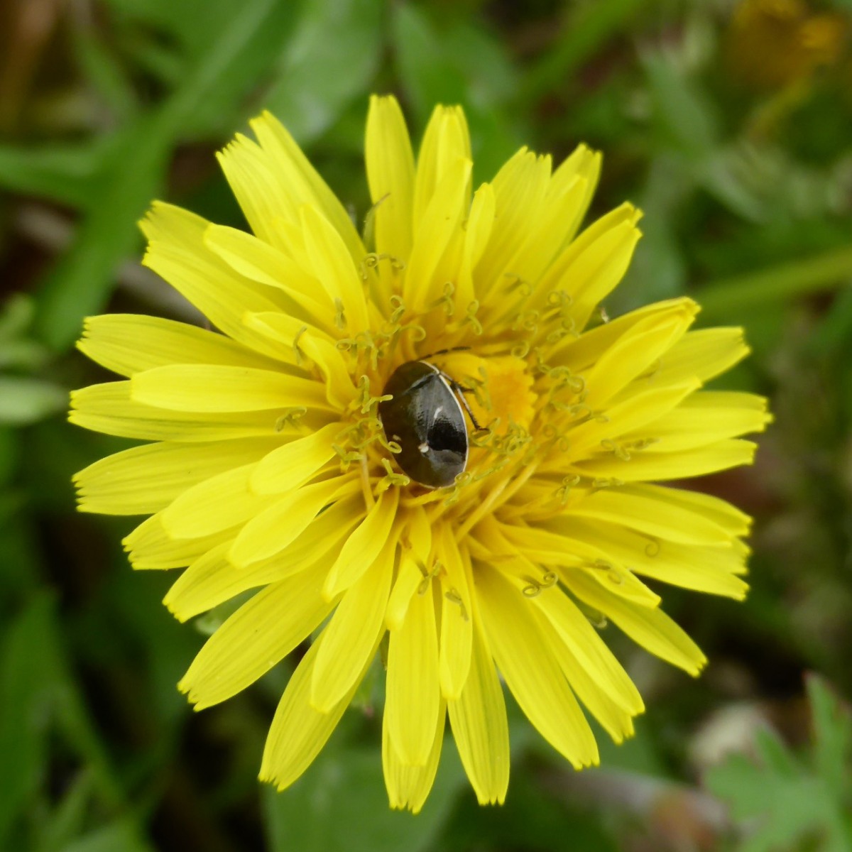 詳細検索：環境省
